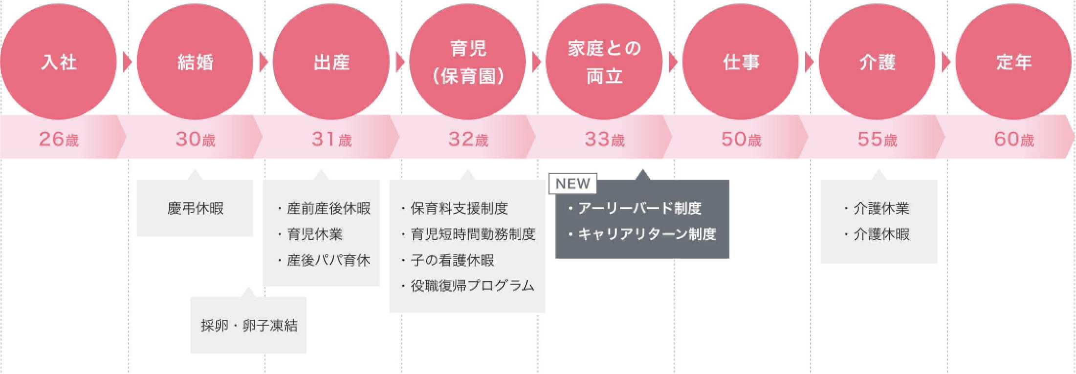 SBCライフシフト プログラムのグラフ