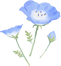 花イメージ