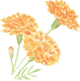 花イメージ