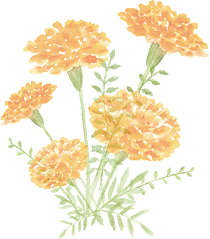 花イメージ