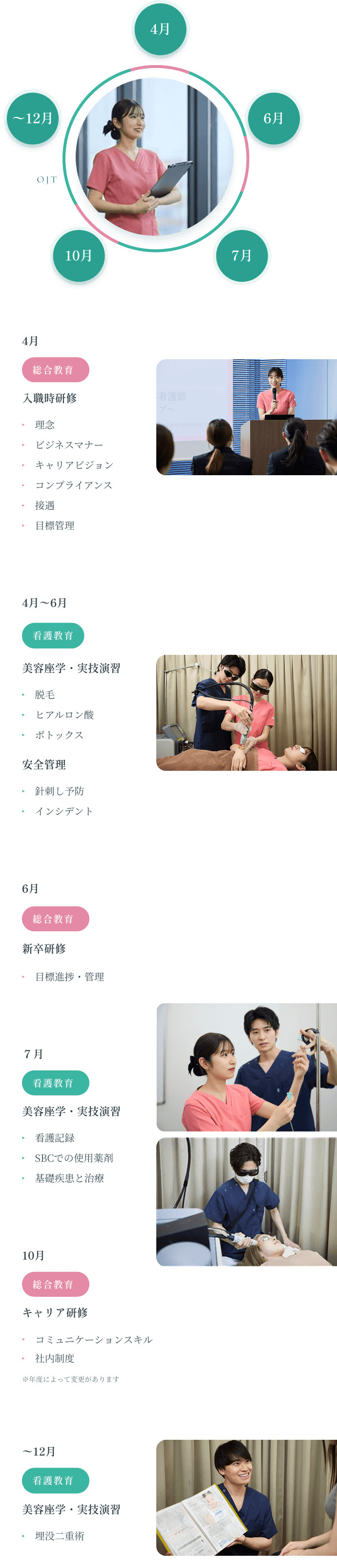 入社後1年間の流れイメージ